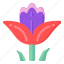 flower, flora, blossom, flowering stem, penstemon 