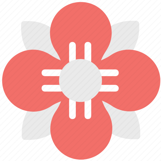 Blossom, decoration, ecology, flower, flower with rounded petals, petals icon - Download on Iconfinder