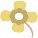 bellflower, blossom, bluebell, bluebell flower, flower, freshness, summer