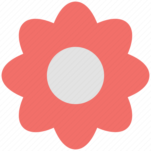 Anemone flower, bloom, flower, natural, petal, seasonal, spring icon - Download on Iconfinder