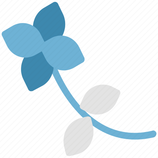Bellflower, blossom, bluebell, bluebell flower, flower, freshness, summer icon - Download on Iconfinder