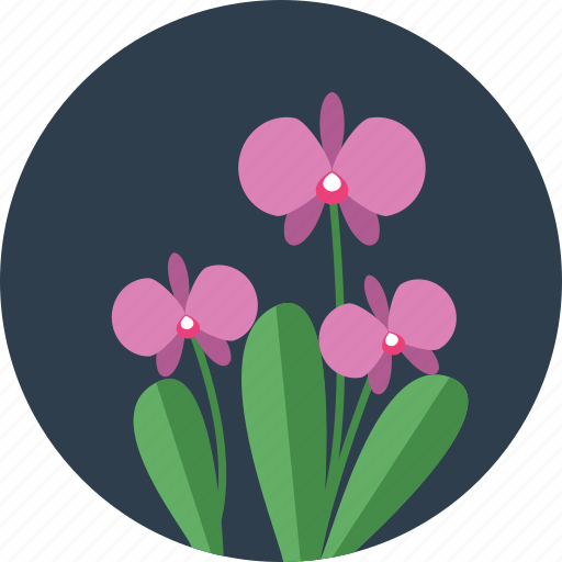 Flowers, ecology, floral, flower, garden, spring, tree icon - Download on Iconfinder