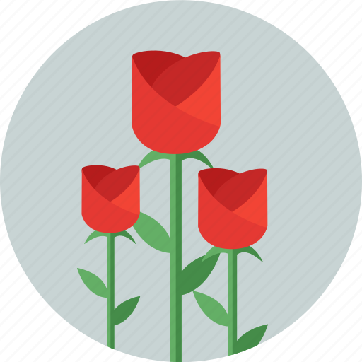 Flowers, blossom, flower, garden, gardening, rose, spring icon - Download on Iconfinder