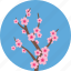 flowers, ecology, flower, garden, gardening, sakura, spring 