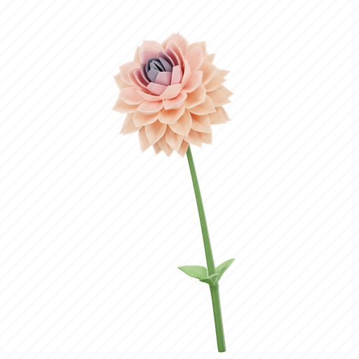 Dahlia, blossoms, flowers, flower, pink flower, pink, beautiful 3D illustration - Download on Iconfinder