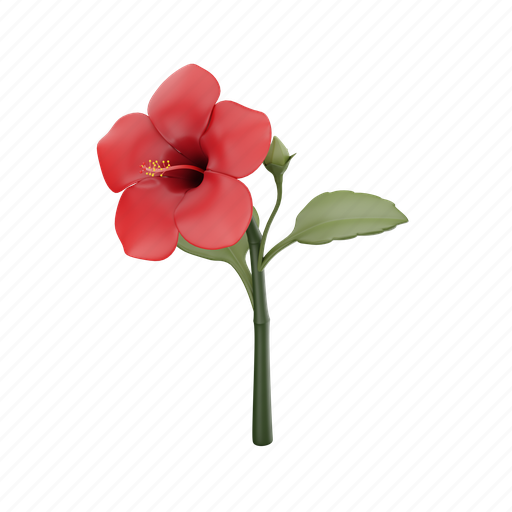 Hibiscus, flower, hibiscus flower, pink flower, plants 3D illustration - Download on Iconfinder