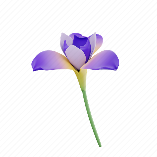 Iris, flower, flowers, blue flower, iris flower, plants, beautiful 3D illustration - Download on Iconfinder