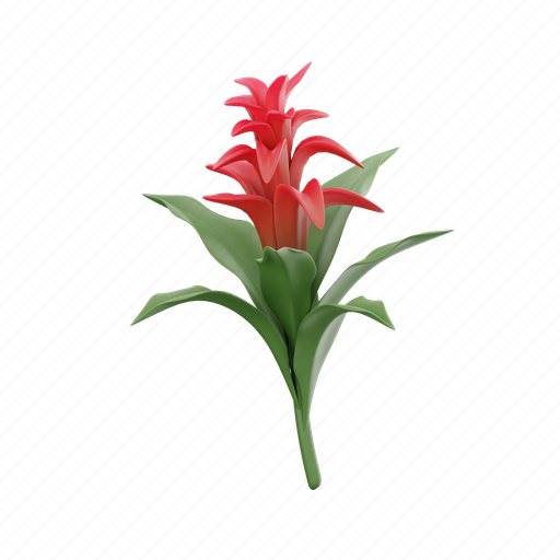 Bromeliad, flower, red flower, flowers, bromeliad flower, plants, beautiful 3D illustration - Download on Iconfinder