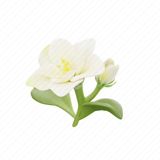 Jasmine, flowers, flower, white jasmine, white flower, plants 3D illustration - Download on Iconfinder