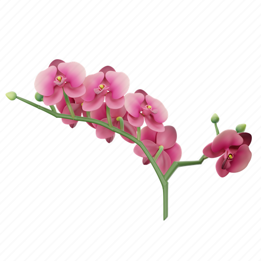 Orchids 3D illustration - Download on Iconfinder