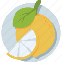citrus fruit, fruit, healthy diet, orange, organic