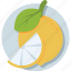 citrus fruit, fruit, healthy diet, orange, organic 