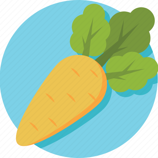 Carrot, healthy diet, healthy food, organic, root vegetable icon - Download on Iconfinder