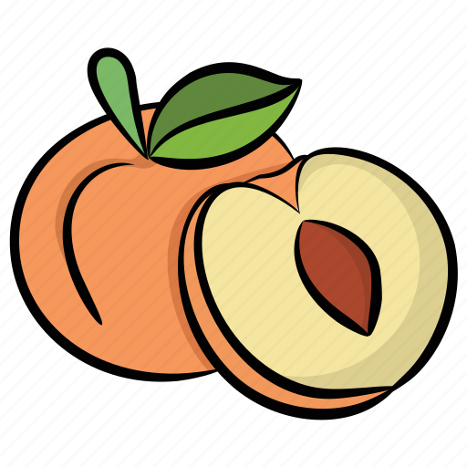 Apricot, food, fruit, healthy food, peach icon - Download on Iconfinder