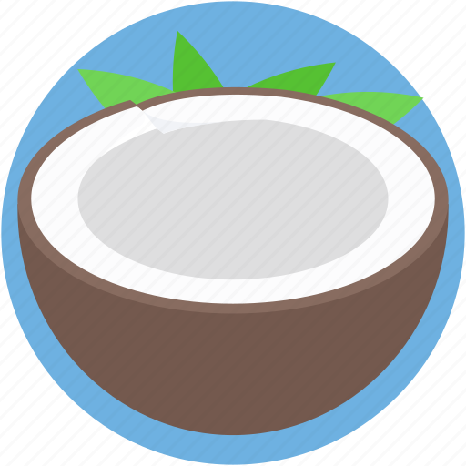 Coconut, food, healthy food, nut, tropical fruit icon - Download on Iconfinder