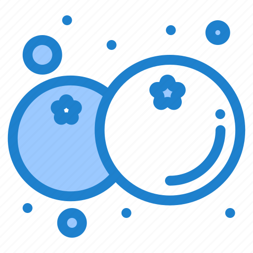 Blueberry, food, fruit, healthy icon - Download on Iconfinder