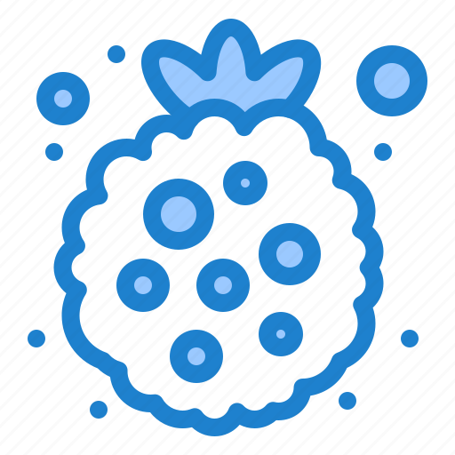 Berry, food, healthy, raspberry icon - Download on Iconfinder