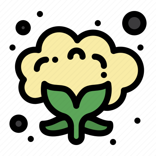 Cauliflower, food, vegetable icon - Download on Iconfinder