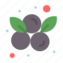 berry, blueberries, blueberry, fruit