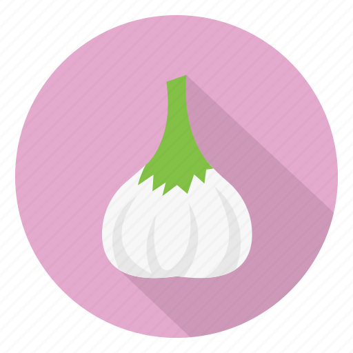 Allium, eat, food, organic, vegetable icon - Download on Iconfinder