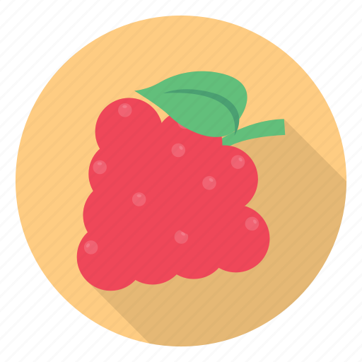 Eat, food, fruit, grapes, wine icon - Download on Iconfinder