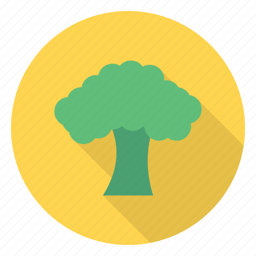 Healthy, leaf, oak, organic, salad icon - Download on Iconfinder