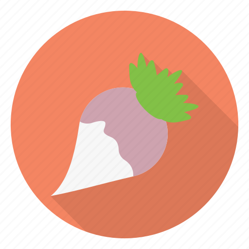 Food, healthy, organic, turnip, vegetable icon - Download on Iconfinder