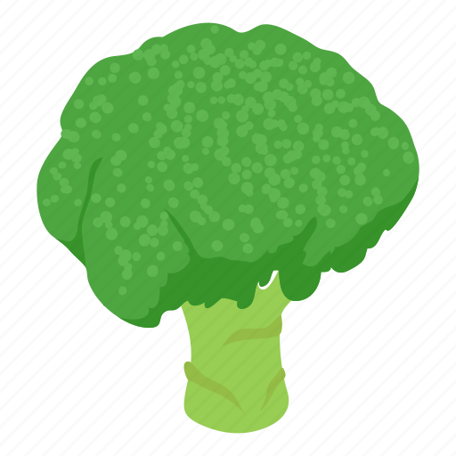 Broccoli, food, fresh, healthy, isometric, object, organic icon - Download on Iconfinder
