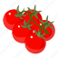 d524, food, isometric, object, plant, red, tomato 