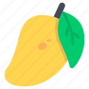 mango, tropical fruit, summer fruit, stone fruit, mangifera 
