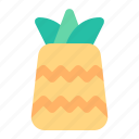 pineapple, fruit, food, tropical