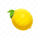 food, fruit, lemon