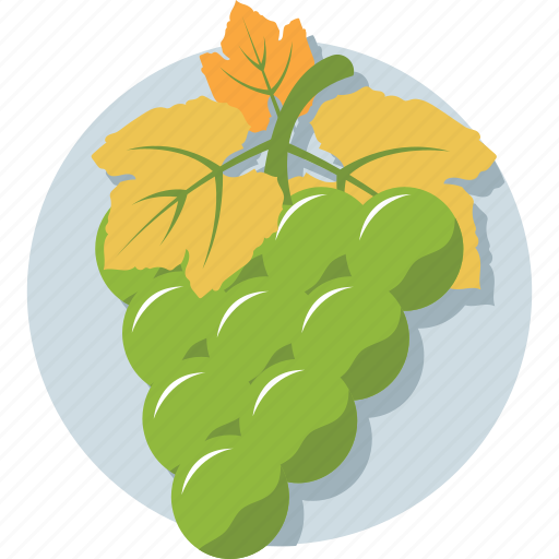 Bunch of grapes, diet, fruit, grapes, healthy food icon - Download on Iconfinder
