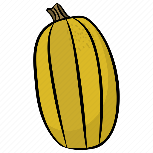Cantaloupe, food, fruit, honey dew, tropical fruit icon - Download on Iconfinder