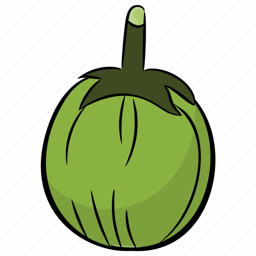 Ash gourd, diet, food, healthy vegetable, vegetable icon - Download on Iconfinder