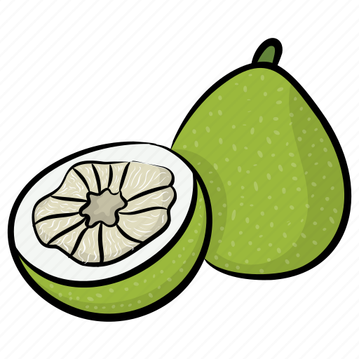 Food, fruit, healthy diet, kiwi, tropical fruit icon - Download on Iconfinder