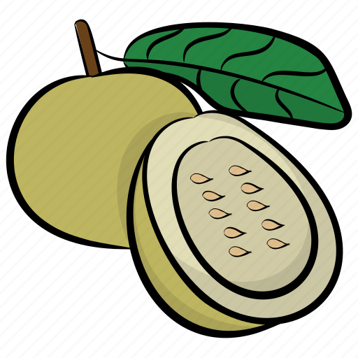 Food, fruit, healthy diet, kiwi, tropical fruit icon - Download on Iconfinder