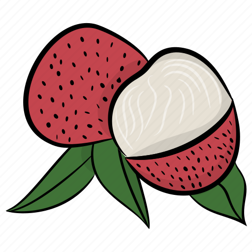 Food, fruit, lychee, natural diet, pulpy fruit icon - Download on Iconfinder