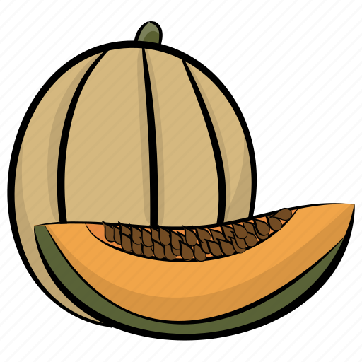 Cantaloupe, food, fruit, melon, yellow melon icon - Download on Iconfinder