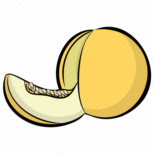 Cantaloupe, food, fruit, melon, yellow melon icon - Download on Iconfinder