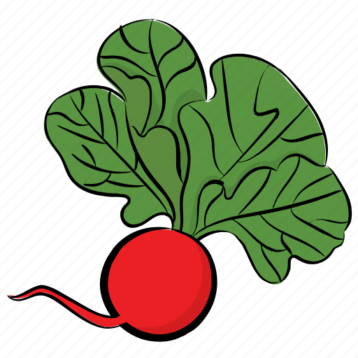 Natural diet, organic food, radish, red radish, vegetable icon - Download on Iconfinder