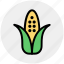 agriculture, corn, food, maize, sweet corn, syrup, vegetables 