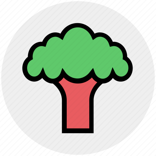 Broccoli, cooking, eating, food, green flower, salad, vegetable icon - Download on Iconfinder