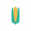 cob, corn, food, maize, vegetable