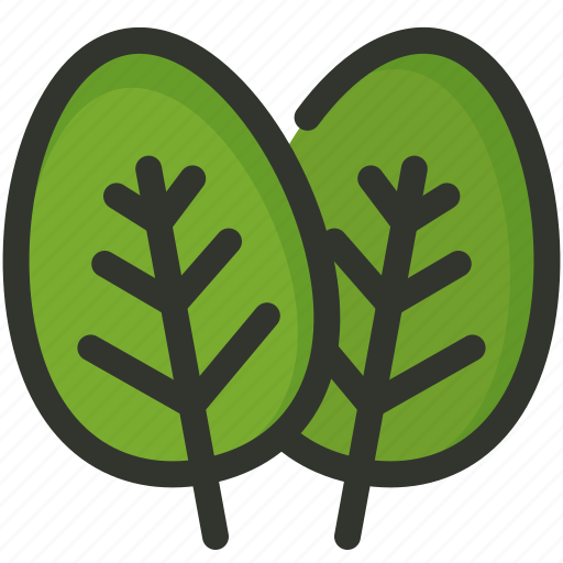 Herb, leaf, spinach icon - Download on Iconfinder