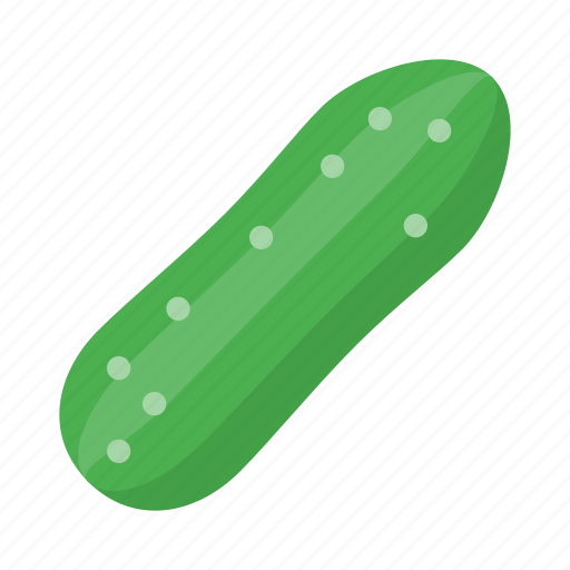 Cucumber, salad, vegetable, food, green, healthy, organic icon - Download on Iconfinder