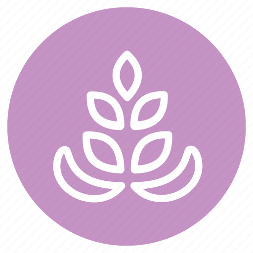 Allergens, flower, food, lupin, lupin seed, nature, plant icon - Download on Iconfinder