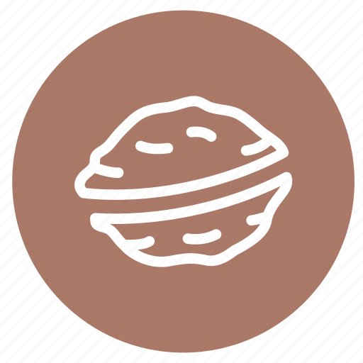 Allergens, food, nuts, nutshell, walnuts, cooking, dessert icon - Download on Iconfinder