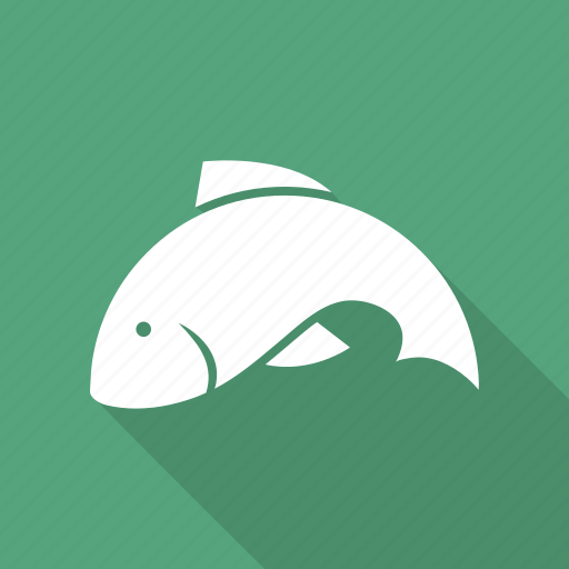 Fish, fishing, sea, seafood icon - Download on Iconfinder