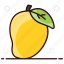 anacardiaceae mango, healthy food, mango, nutritious food, organic fruit, stone fruit 